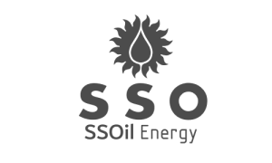 SSO